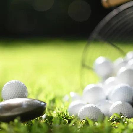 Pergolas سون بارك